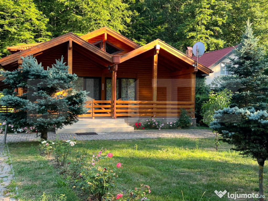 Cabana modernă în Câmpul Cetății – confort și natur?