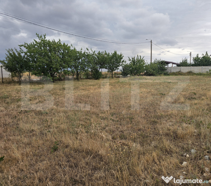 Teren intravilan 762 mp in Carcea