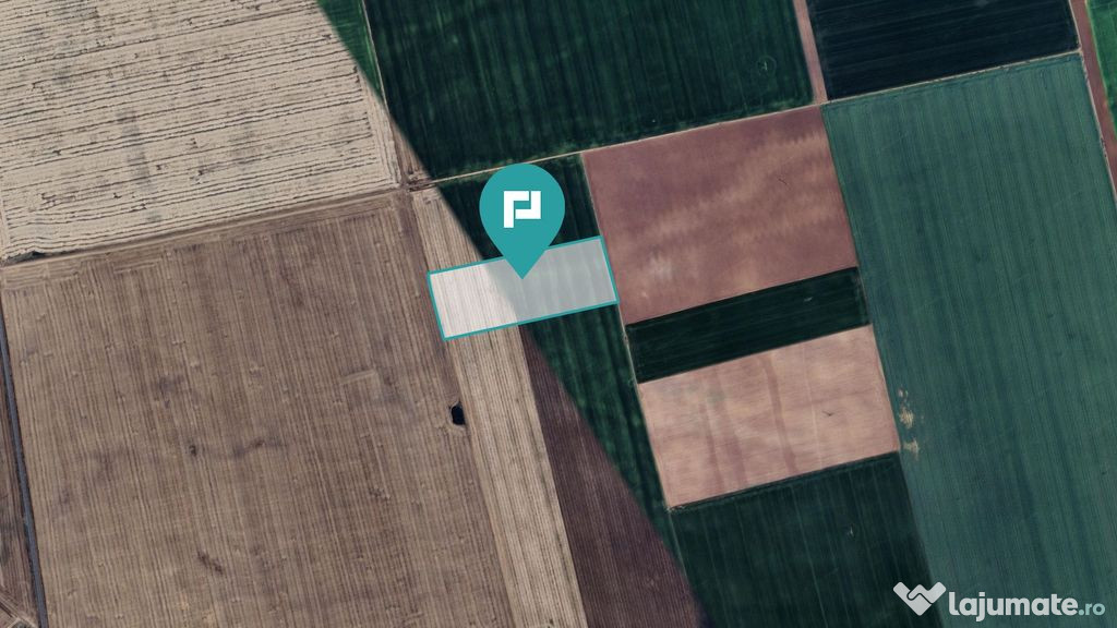 Teren arabil de 4,4Ha în Curtici