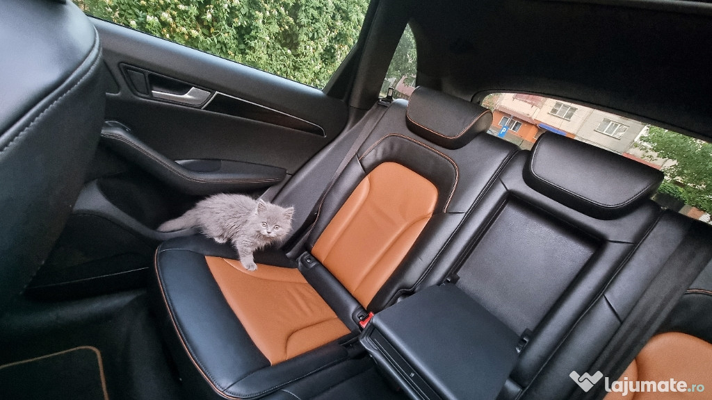 Audi Q5 4x4 automat 2.0 tdi Exclusive