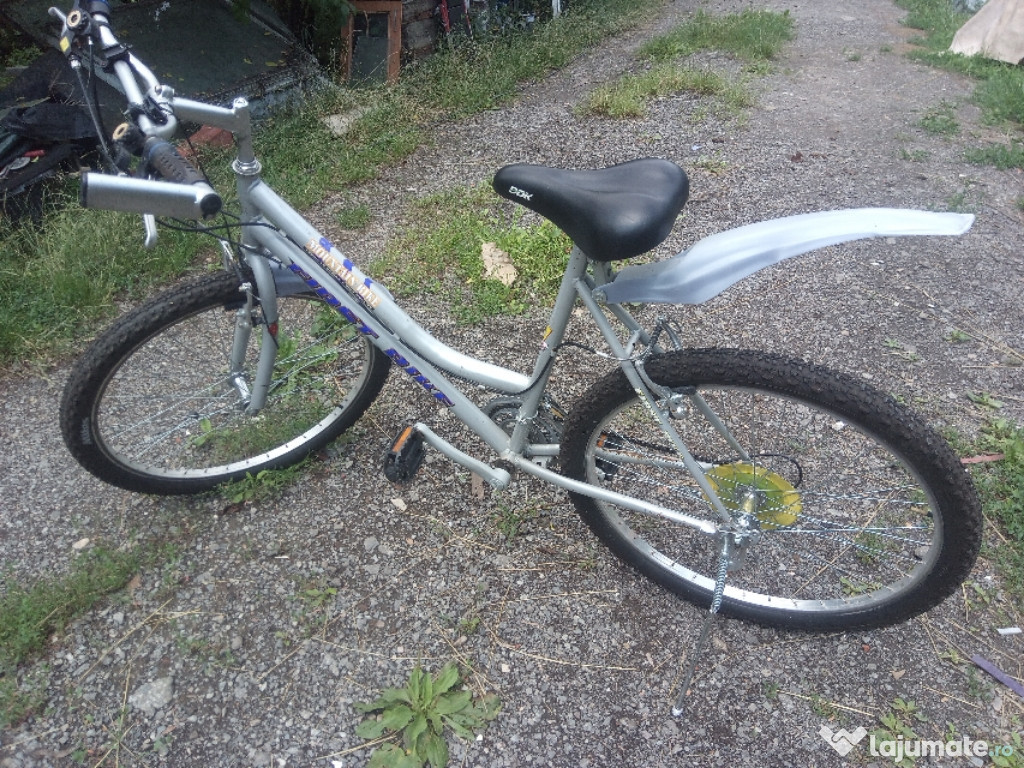 Mountainbike First Bike