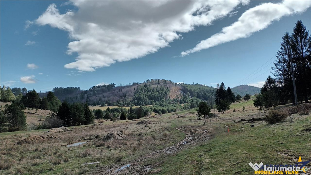 Teren cu ape curgatoare, in zona de poveste, Zarnesti