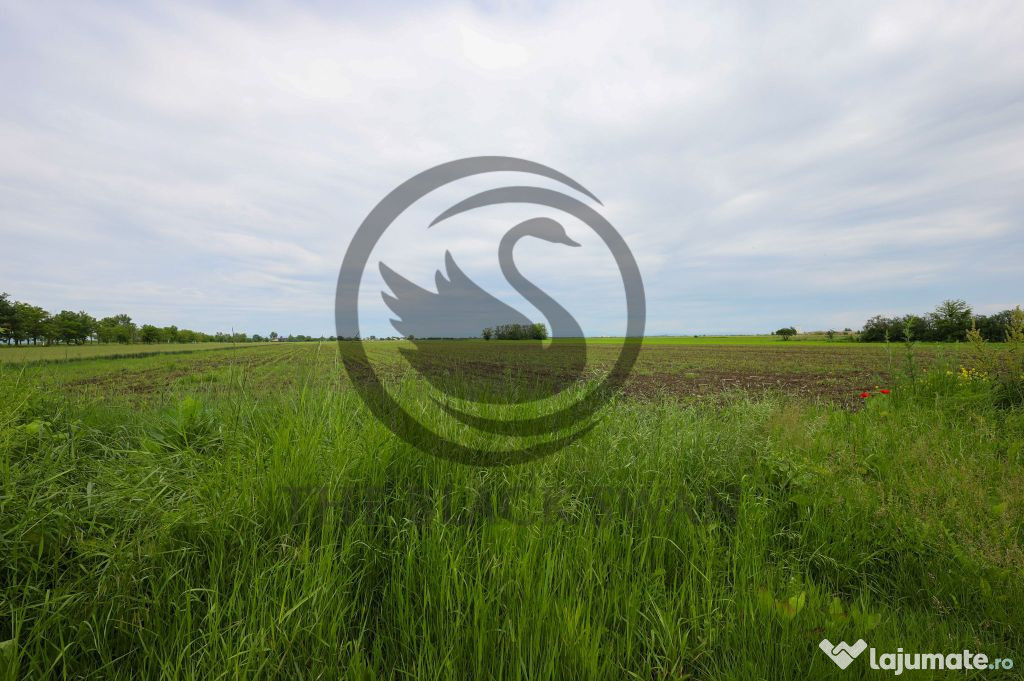 Teren de vanzare in Manesti, Prahova | 18.000 mp | Deschi...