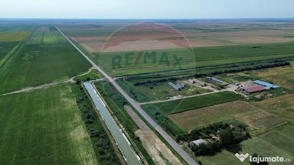 Fermă vegetală 148 ha și sediu fermă Mãicãneşti !