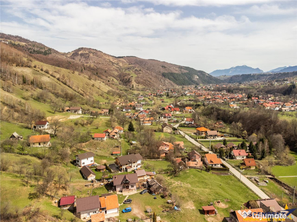 FILM! Teren de 6.500 mp si camin stramosesc, in inima Bucegi