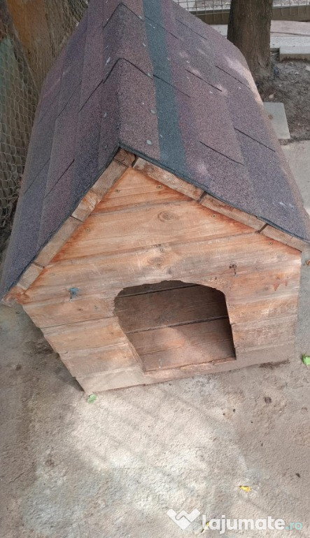 Cușcă de câine în stare bună