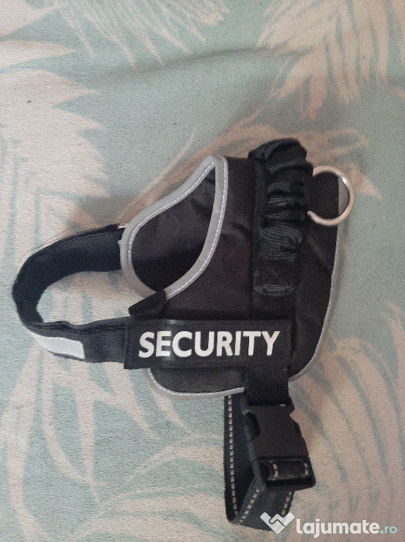 Toc pentru pistol