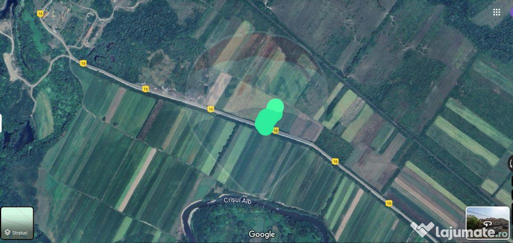 Teren extravilan 25.936 mp intre Barsa si Sebis