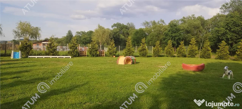 Teren de 1500 mp cu 2 deschideri de 50 si 30 metri in Cisnad