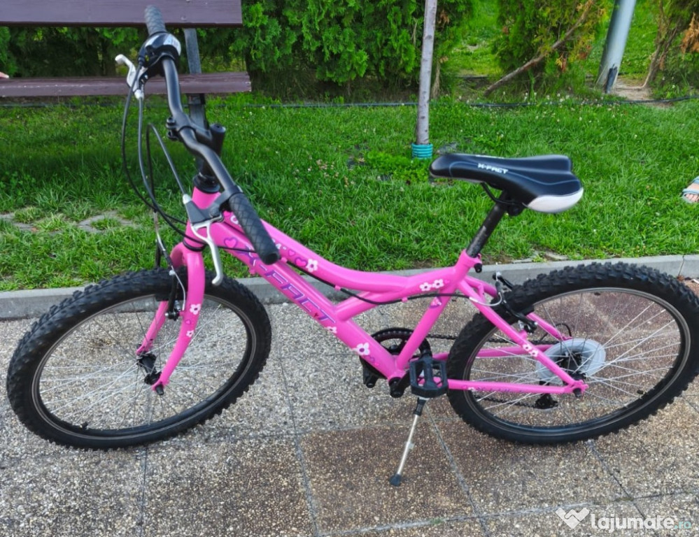 Bicicleta MTB Queen 24