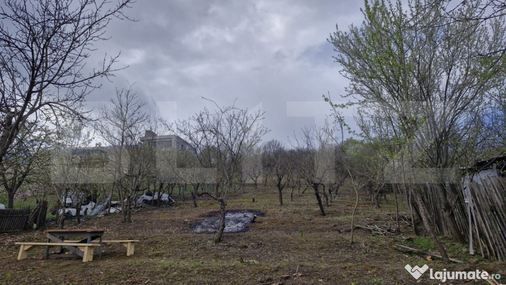 Teren intravilan 25 ari – Viișoara, zonă excelentă cu p