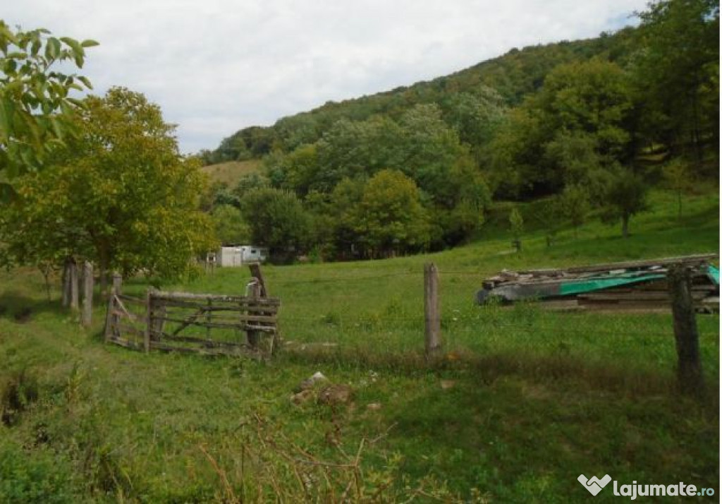 Teren extravilan-Loc. Roscani, comuna Dobra, judetul Hune...