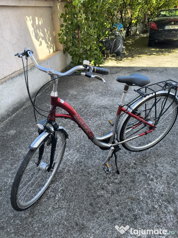 Bicicleta Bărbați și Damă