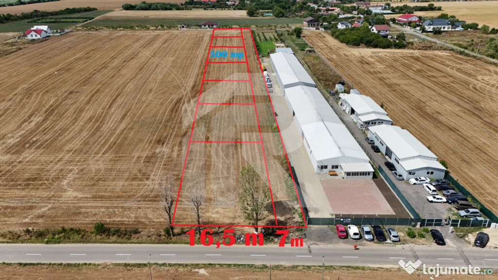 CIOLPANI Lot 500 MP