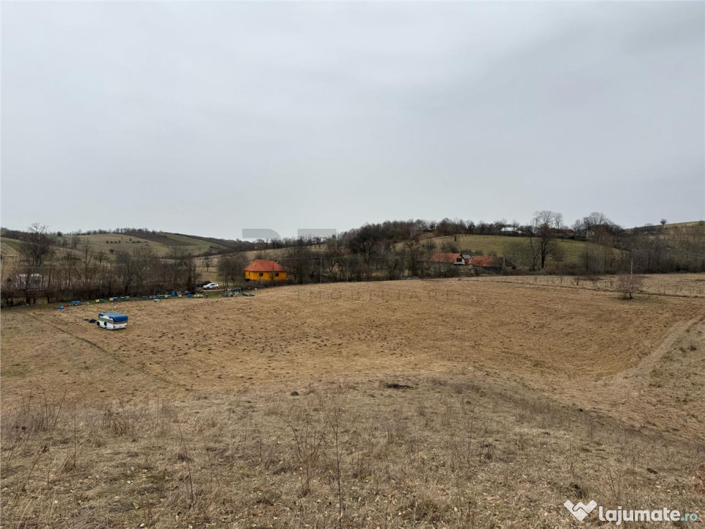 RECO , teren intravilan in Tomnatic, Vadu Crisului