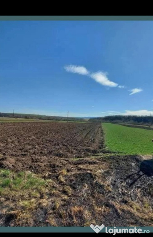 Vand teren Agapia 7200 m²