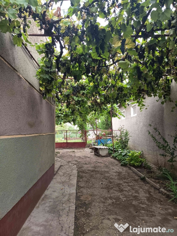 Casă de vânzare în Tamaseu jud. Bihor