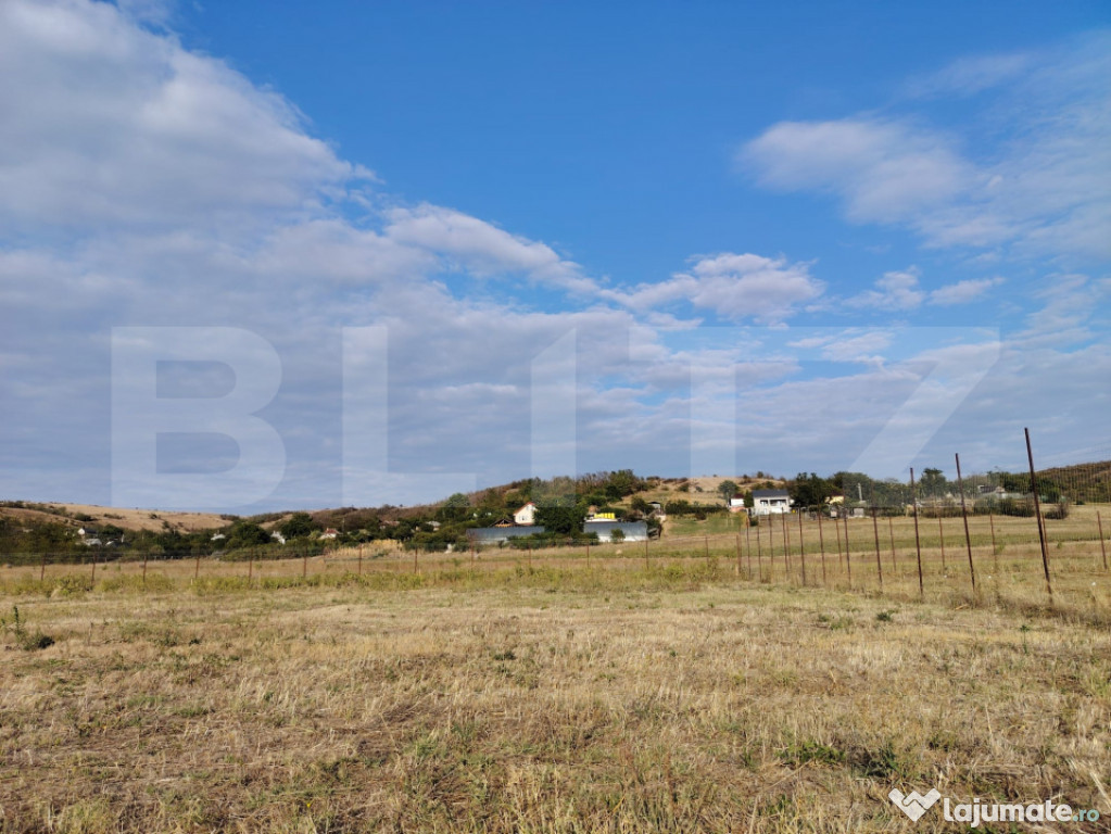 Teren Simnicul de Sus 800 mp intravilan 40eur/mp