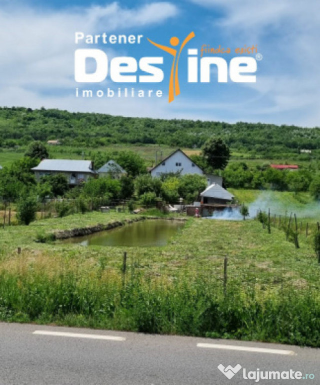 Casă individuală 170 mp + 2400 mp teren, curte cu IAZ, la