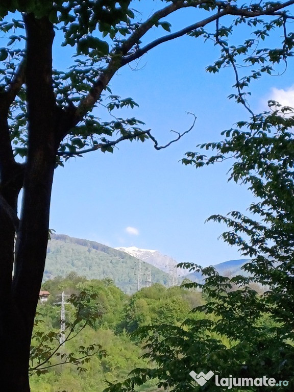 Casa pentru iubitorii de natura pe dealurile Comarnicului