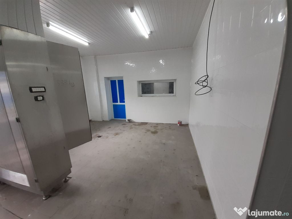 Hala - flux DSV - domeniu alimentar - productie sau catering