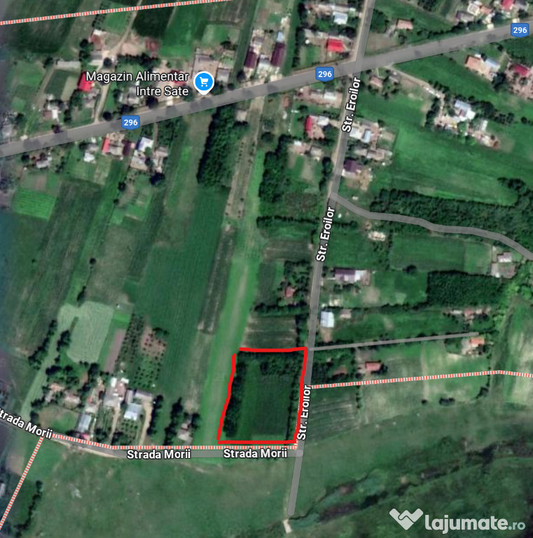 Teren intravilan deosebit - Roma, Botosani