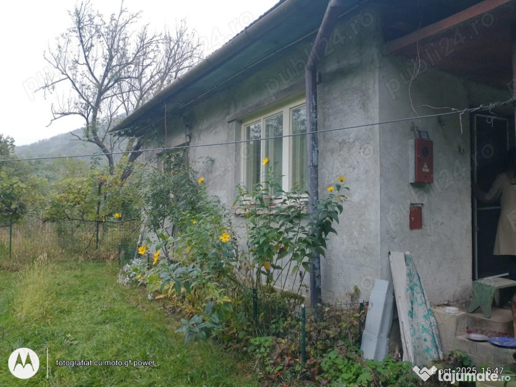 Casa solida in stare buna cu 11 ari teren iesire Baia Mare