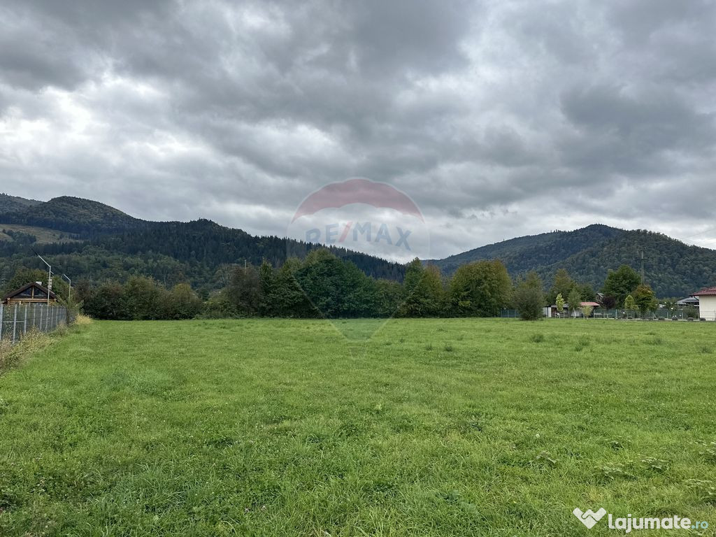 Teren 1,023mp Vadurele (Alexandru cel Bun) / Strada Steja...