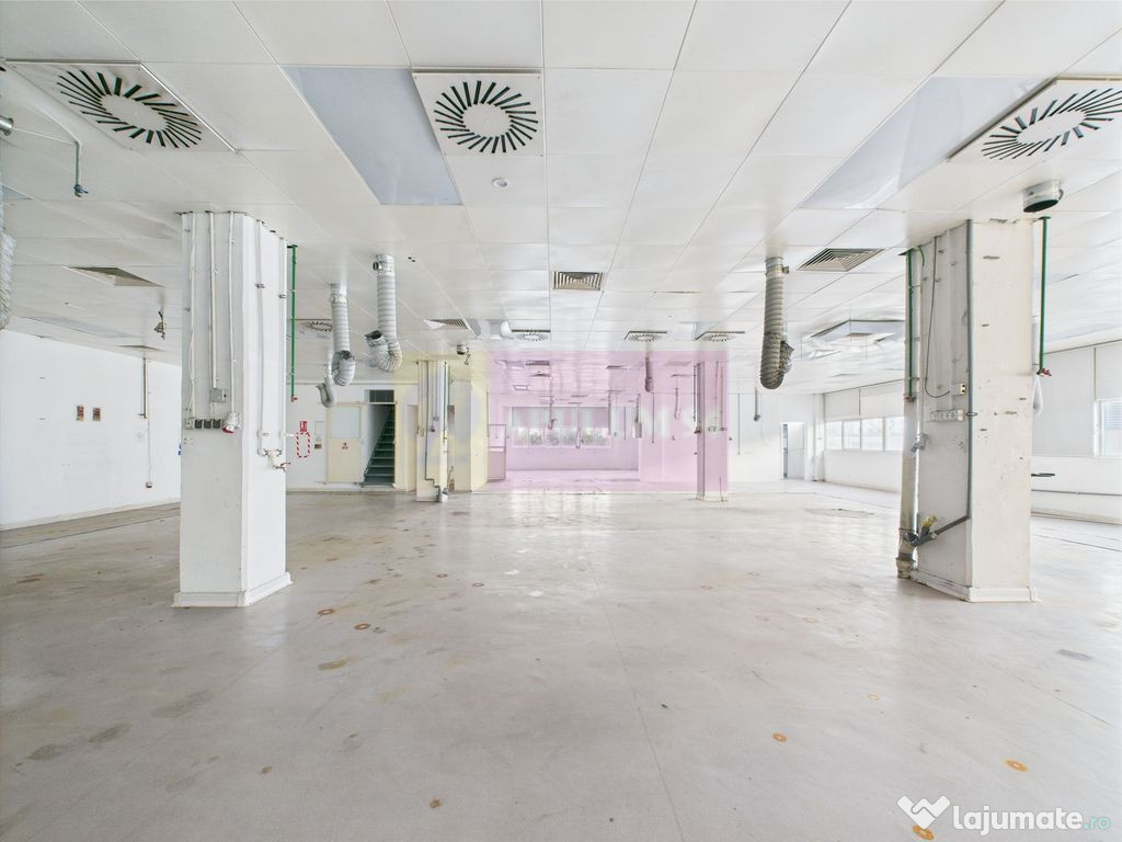 Spatiu Industrial | Comercial Dristor VITAN | RACARI