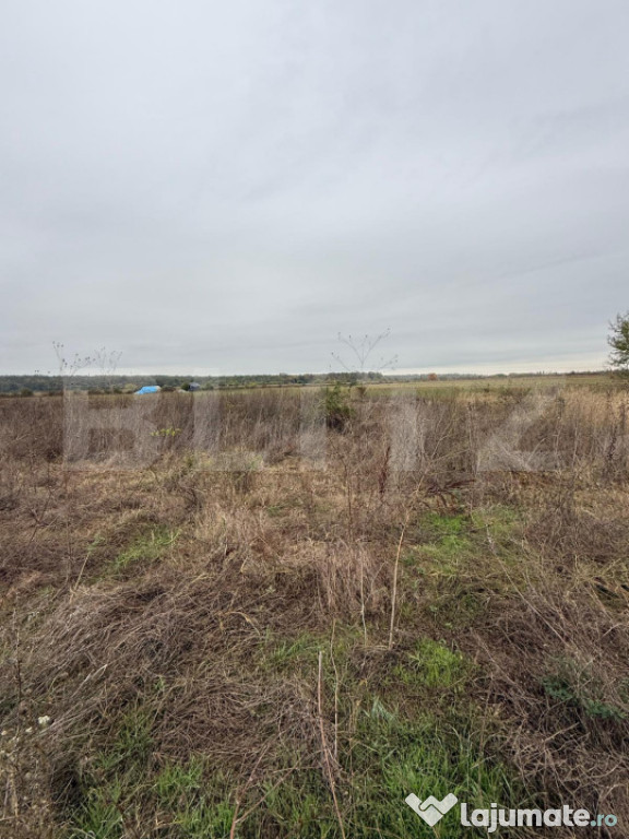 Teren 1000 m² de vânzare în Dragomirești – ideal pentr