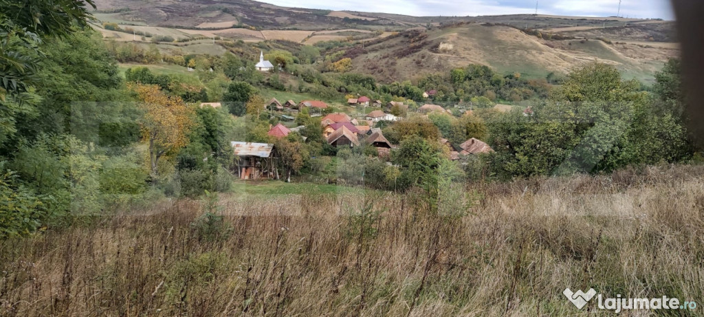 Casa de vanzare, 3 camere, 4663 mp teren, CF, Sat Barai
