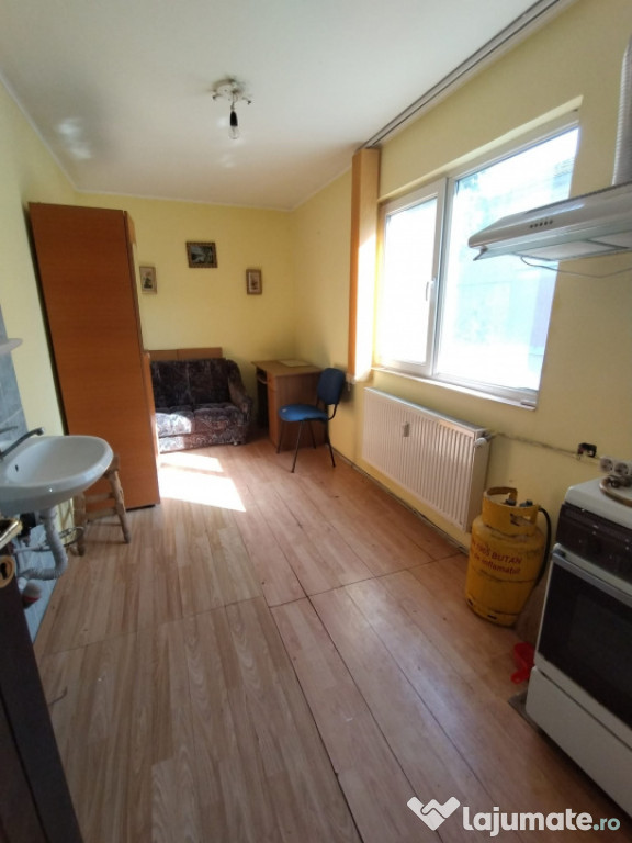 Camera Camin, Zona Bucsinescu