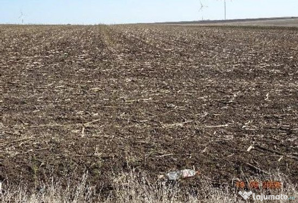 Teren extravilna Cota parte 1/16, CObadin, ID: R2782865