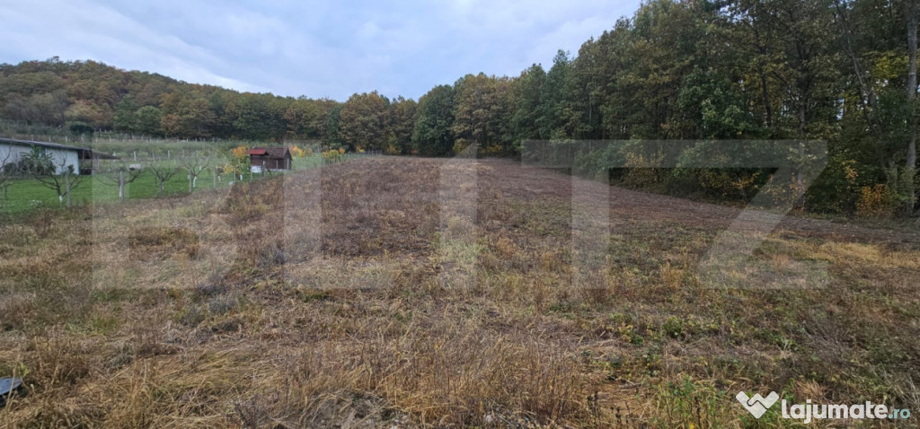 Teren intravilan parcelat - 2882 mp - Sat Bejan