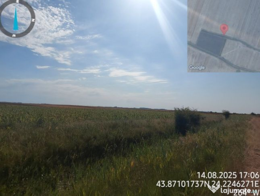 Cota de 1/4 din teren loc. Amarastii de Jos, Jud Dolj