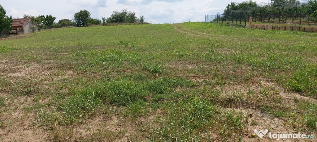 Teren intravilan, vedere la Dunăre