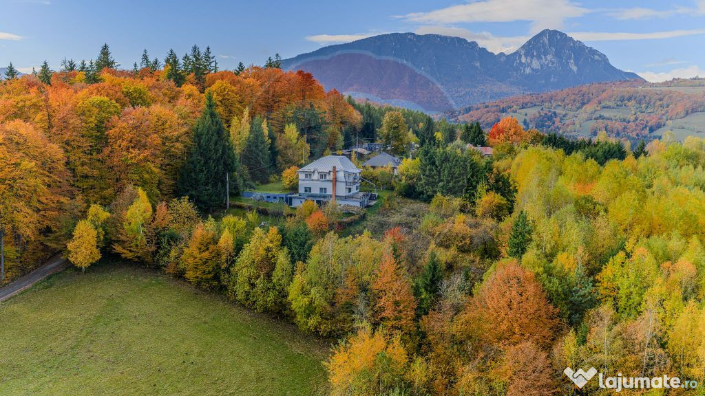 Oferta! Casă / Vilă cu 7 camere de vânzare/ Poiana Mar...