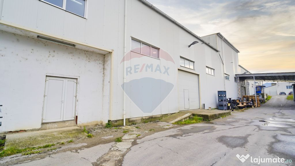 Hala industrială – investiție stabilă sau potențial...