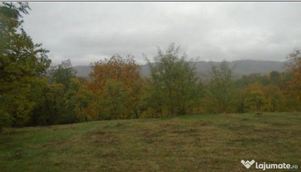 Teren faneata Vizantea Livezi; ID: R2800475