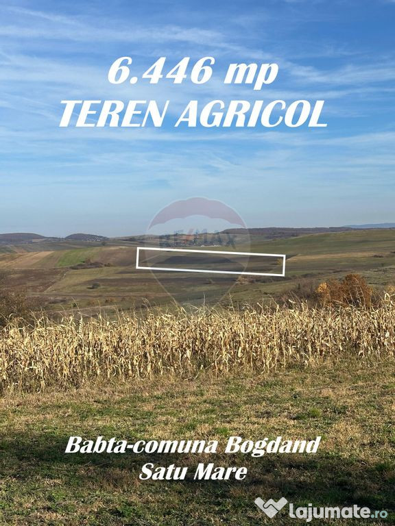 DE VANZARE - TEREN agricol