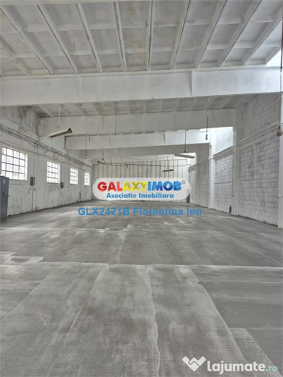 9005 hala 470mp Chitila-Rudeni