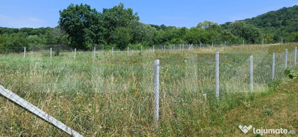 Teren extravilan de 1000 mp, situat pe strada Ghinzii