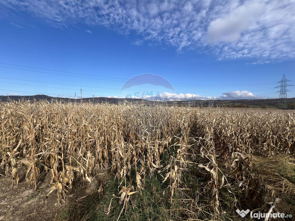Teren extravilan agricol de vânzare - Selimbar Sibiu