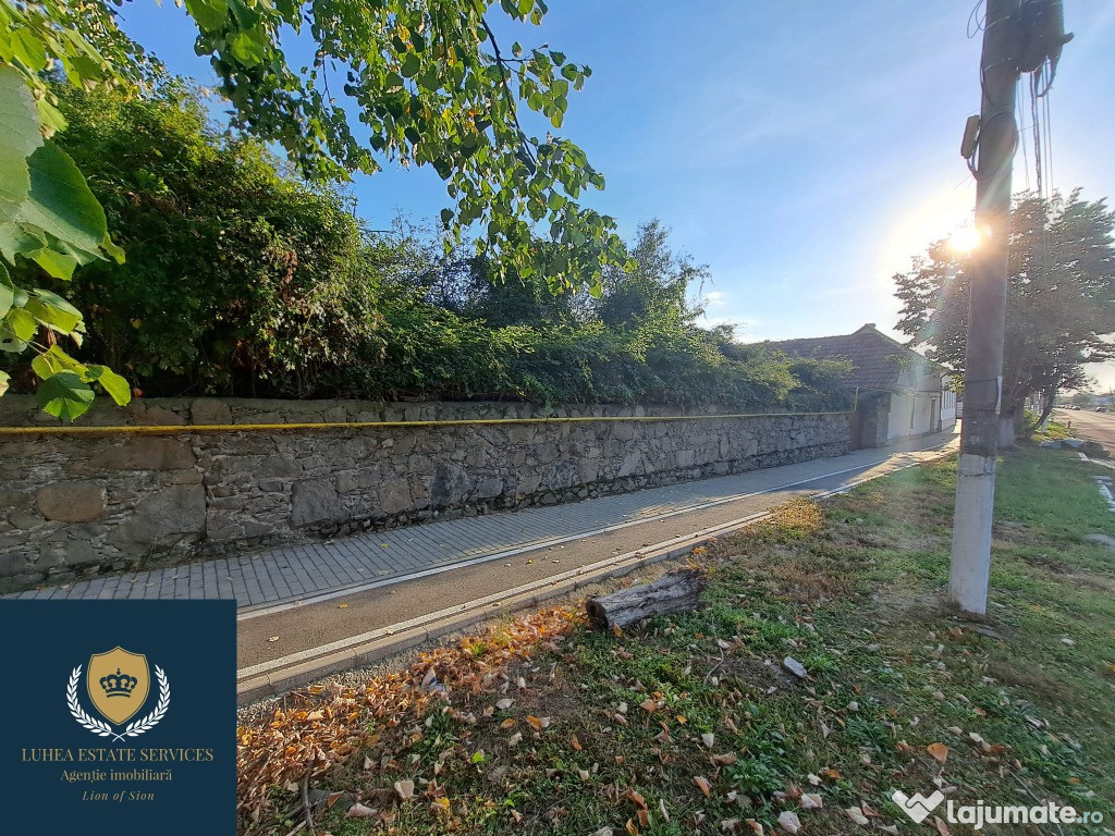 Casă uriașă pentru familii numeroase, pensiune sau spații comerciale