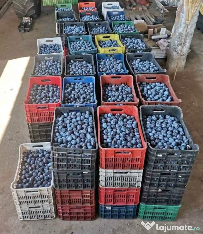 Tuica de Prune 40 de Grade, fara zahar