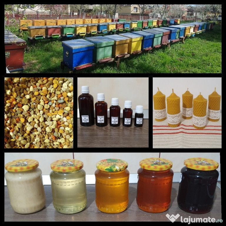 Miere și produse apicole