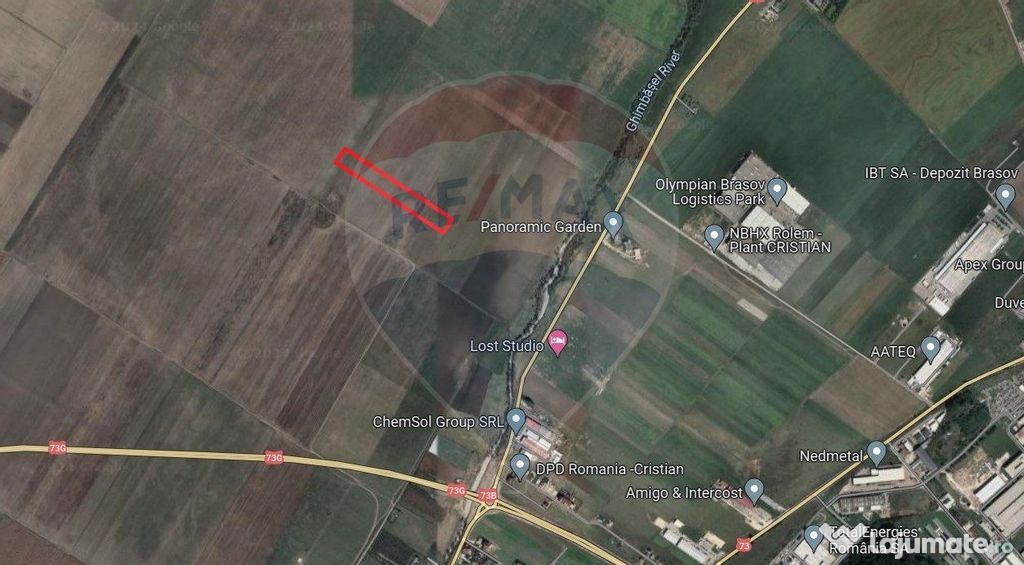 Teren extravilan arabil, 9650 mp, Cristian