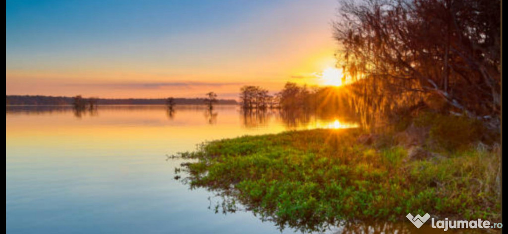 SISESTI teren. 5000mp iesire la LAC