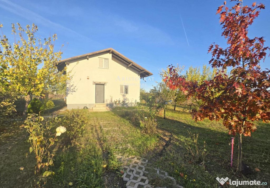 Vanzari Case / Vile Corbeanca - zona linistita