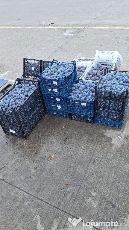 Tuica din prune Botesti Arges